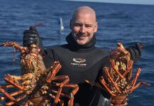 New boat strategy ready