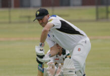 Runs and wickets aplenty in B grade