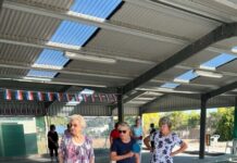 Sturt Pea stands strong