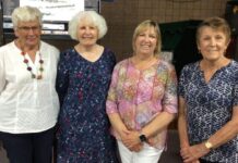 Antarctica insights revealed