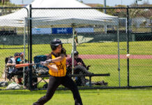 Shields move into top spot