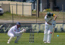 Tasman secures T20 final berth