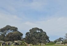 Red-hot conditions lead to red-hot scores