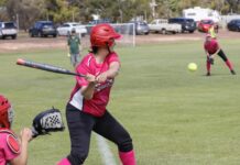 Port Lincoln softball to turn pink