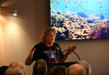 Nominate deserving volunteers for award