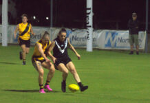 Tigers take down Marble Range