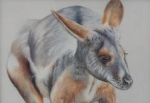 Endangered critters depicted in exhibition