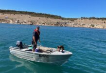 Water for Taylor sheep