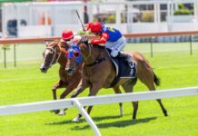 Intriguing field for Kimba Cup