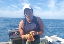 Melissa rolls in to catch