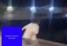 Video shows alleged animal abuse