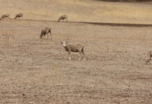 Farmers welcome federal funding