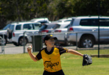 Tigers take all three wins