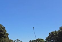 Freeman shoots score of the week