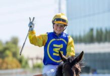 Milnes rides Adelaide Cup winner