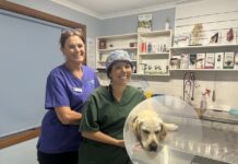 Celebrating our vets