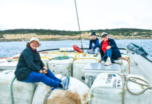 Journey into island’s past