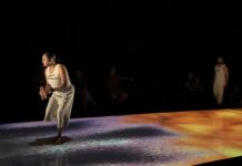 Journey through Saltbush