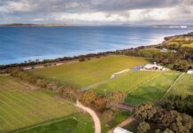 Art, music and wine equals fun