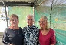 Grevillea claims close victory