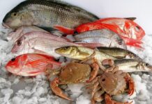 Spread of seafood support