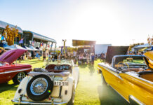 Twilight Festival shines bright