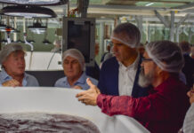 CH4 named global leader