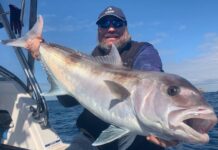 King George whiting out and about