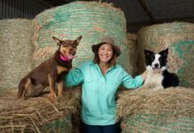 What’s on in Port Lincoln and surrounds