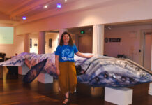 Whale display educates