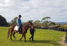 Sarah is stable and true