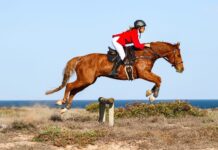 Clear skies enlighten eager hunters