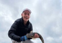 Bays producing the goods