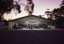 Enjoy award-winning free Kimba site