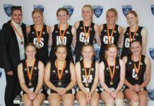 Netball talent on display in carnival