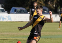 Tigers run riot against Tasman Imperial