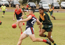 Peckers hold on despite late Wayback surge