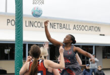 Opening round wins for Tasman and Boston