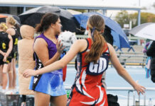 Wayback on the board for 2025