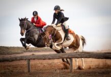 New hunt season underway