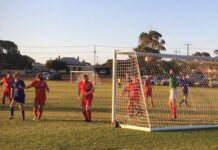 Sekol produces a masterclass