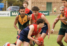 Port Lincoln sport: May 17 | GALLERY