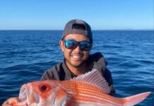 Bays firing for whiting