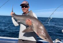 Spread of salmon reported