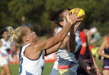 Phillips to footy Hall of Fame