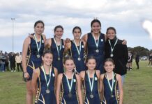 Junior netballers contest Cowell carnival