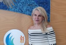 Construction costs a focus in budget