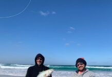 Salmon soaring across coast
