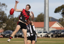 All about balance for Great Flinders