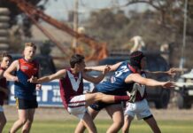 Future stars to shine